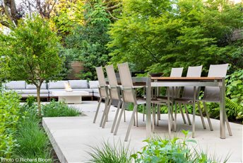 Modern Garden, Hampstead