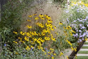 Tom Massey MSGD.- Richmond Garden - Image Britt Willoughby Dyer.