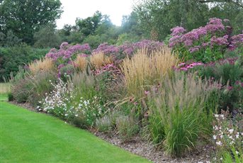 The end of a more formal herbaceous border, where a relaxed combination of grasses are used before heading off into the meadow.