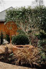 Small, urban front garden with curved path, shady planting and focal points!