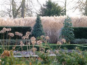 Garden of rooms, Norfolk
- Winter drama