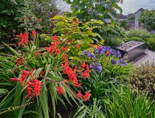 Sussex and Surrey Gardens