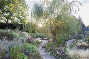 Sedlescombe Primary School Sensory Garden winner of the SGD 2021 Judges Award and 'Design for the Environment Award'. A drought tolerant, low maintenance, wildlife friendly gravel garden. Photo by Abigail Rex.