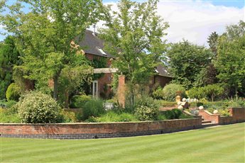 Mature planting
