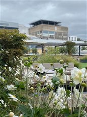 No. 1 Bristol sky garden