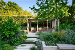 Charlotte Rowe Garden Design, Principal Designer Tomoko Kawauchi MSGLD - Putney Garden. Photograph © Jason Ingram