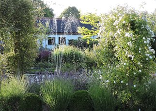 traditional pond with fountain and roses