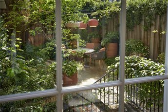 South Kensington garden - London