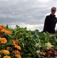 Braehead Community Garden (3)