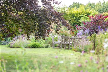 Country Garden - Blewbury, Oxfordshire