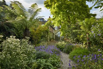 Queen's Park garden - London