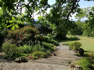 Steps and the house nestled in planting, I loved designing this one in France