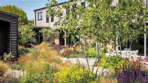 Ann-Marie Powell Gardens Ltd, Principal Designer Ann-Marie Powell FSGLD - Maybush. Photograph © Marybeth Derrington