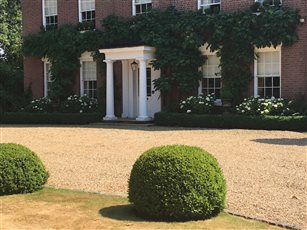 Classical topiary and planting as part of a listed building renovation.