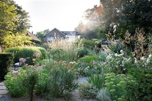 Moss Studio, Principal Designer Barbara Samitier MSGLD - Dulwich Pollinators. Photograph © Dean Young