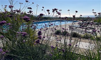 Bay House | David Hastie Garden Design