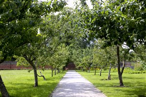 Lulu Urquhart & Adam Hunt - The Walled Kitchen Garden Fulham Place (4)