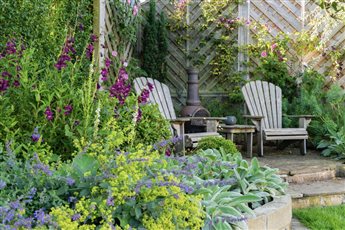 Planting design for country garden in Yorkshire with roses and Adirondack chairs