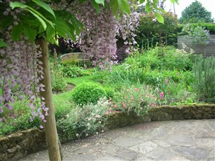 Circles of flowers and winding grass paths