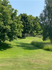 Simple but so effective, earth modelling, trees and rougher grass