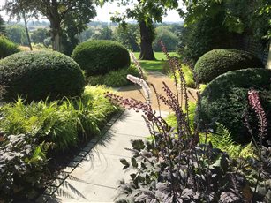 CHESHIRE GARDEN
