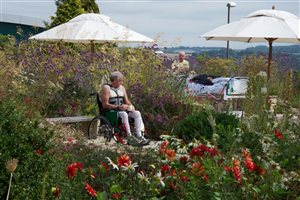 Cleve West MSGD - Horatio's Garden (2)