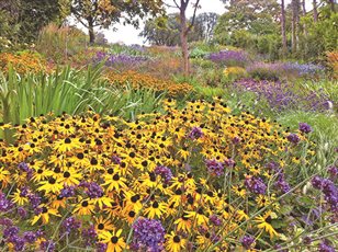 Stunning coastal planting for dramatically sloping estate. This complex site had a long planning history and our solution to the landscaping was a major part in finally gaining a consent and unlocking the landscape’s full potential. 