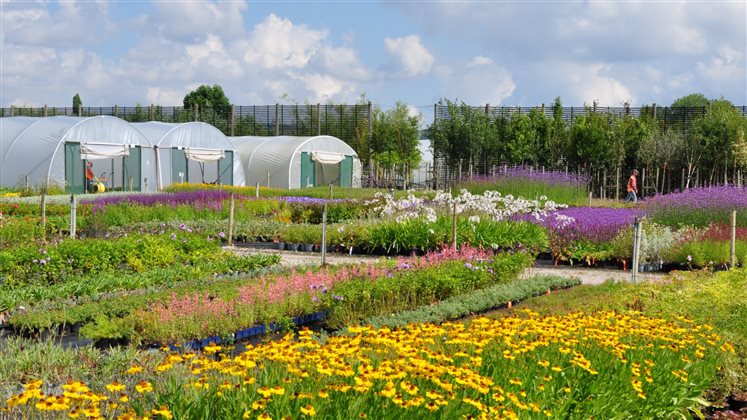 Cluster Group Event - Kent - How to manage a garden installation - 13 March 2026