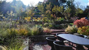 Relaxed front garden