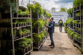 We are a team of horticulturalists who have many years of experience in sourcing plants and our sole motivation is to bring our customers the best deals possible without giving an inch on quality. 