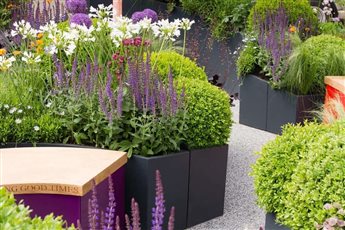 Chelsea Flower Show 2016