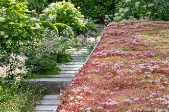 Winner of the SGD Planting Design Award 2020