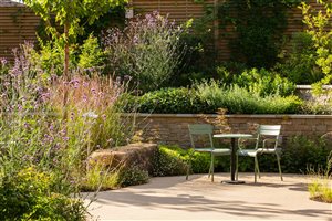 Joe Swift MSGD - Horatio's Garden Stoke Mandeville - Photo Mark Lord