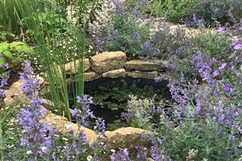 Front garden wildlife design.