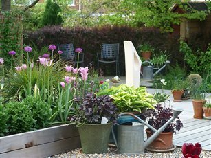A cedar boardwalk and raised beds enables year round access to this garden which was previously waterlogged. Planting that tolerates the damp conditions was introduced and the raised beds enabled a wider range of plants to be used.