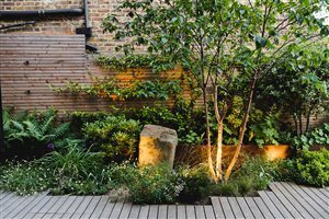 Cassandra Crouch MSGLD - Terracotta House. Photograph © Viktoria Dikareva