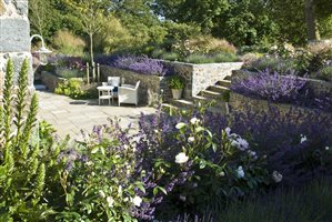 Debbie Roberts MSGD - Le Haut, Guernsey (1)