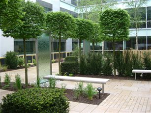 Roche UK Head Office, Welwyn Garden City, Hertfordshire - an enclosed courtyard that can be seen from all 3 floors of the building, which houses 2000 employees.
https://www.thegardenco.co.uk/commercial/enclosed-courtyard/