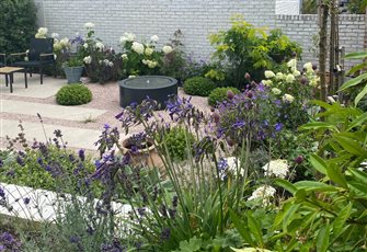 Lush planting and bubbling water feature in a modern courtyard garden.