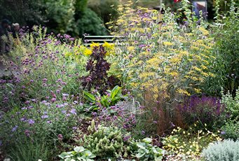 Planting detail from Mortimer Gardens, Nailsworth town centre.