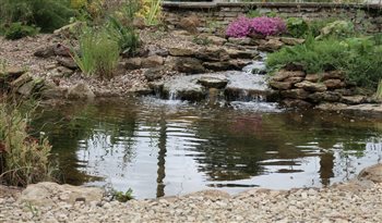 Ecosystem ponds are perfect additions to designs where clients wish to attract wildlife to their gardens. Shallower than Koi ponds, these features have gentle waterfalls and naturally blend into their surroundings.