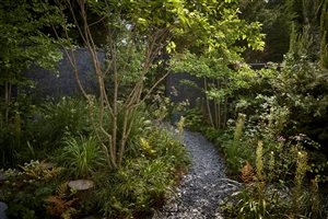 Winner: Stefano Marinaz Landscape Architecture Principle Designer Stefano Marinaz MSGD, Project: Edgy Woodland Wonderland, Image: Alister Thorpe