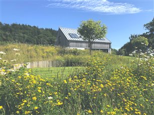 Anna Sissons Garden Design for modern home with wildflower meadow and curved seating area
