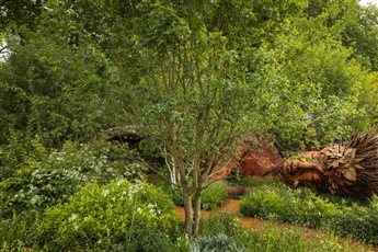 RHS Chelsea 2026 'On the Edge'