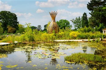 RHS Wisley Wildlife Garden