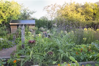 A wildlife friendly Eco house garden designed with resident bats in mind, local and reclaimed materials, bio-diverse, low carbon, this garden won the 'Design for the Environment' SGD Award 2022. Photo Credit: Abigail Rex