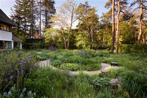 Stefano Marinaz Landscape Architecture, Principal Designer Stefano Marinaz MSGLD - Woodland Glade Sanctuary in Autumn.  Photograph © Gary Morrisroe