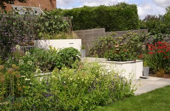 Challenging patio levels and dense planting though a vertically challenged garden space.