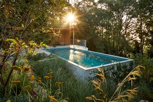 Matthew Childs - Heathside pool garden - Image Alister Thorpe