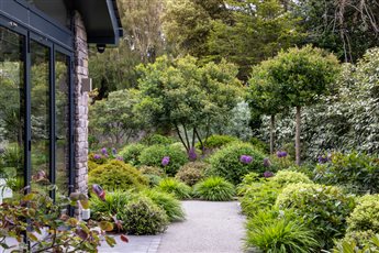 Contemporary Town Garden, Poole